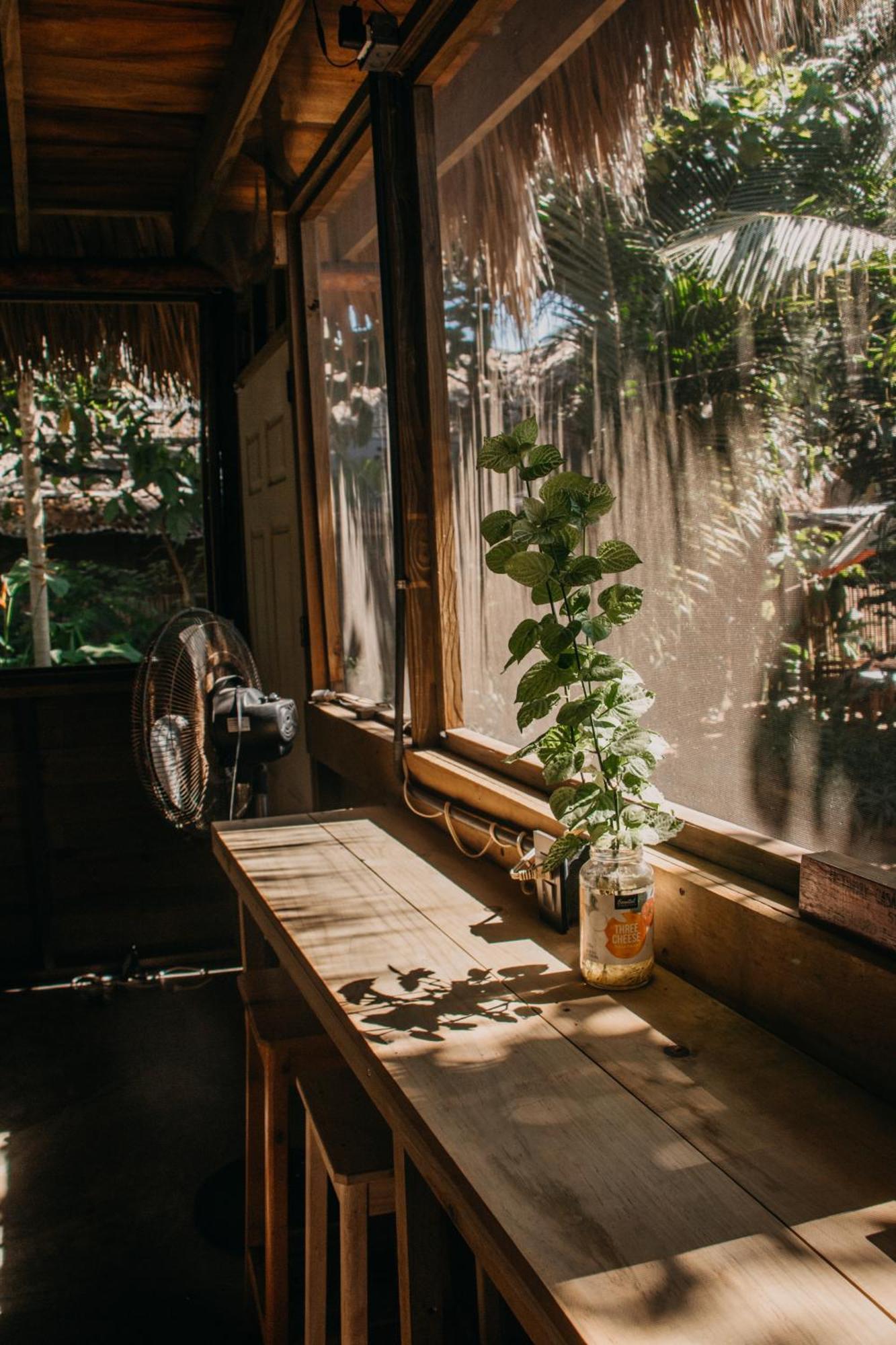 Casa Austera Βίλα El Paredón Buena Vista Εξωτερικό φωτογραφία